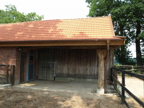 Image - Zimmererarbeiten Unter 2